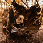 Campingplatz Bosque Maxico De Bonxe *