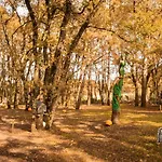 Bosque Maxico De Bonxe Campingplatz *