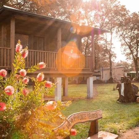 Bosque Maxico De Bonxe 루고