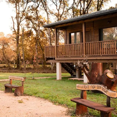 Bosque Maxico De Bonxe 캠프장