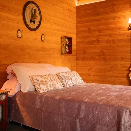 Bosque Maxico De Bonxe