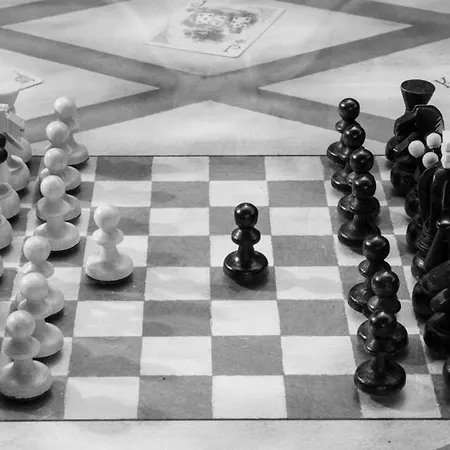 Bosque Maxico De Bonxe 루고