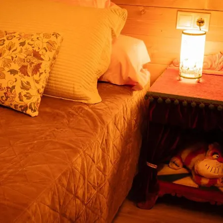 Bosque Maxico De Bonxe 루고