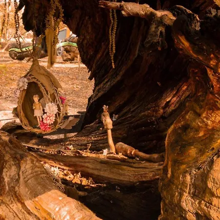 Bosque Maxico De Bonxe Kamp alanı