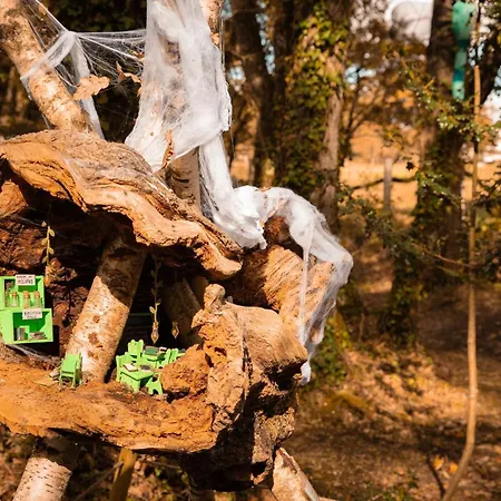 Kamp alanı Bosque Maxico De Bonxe