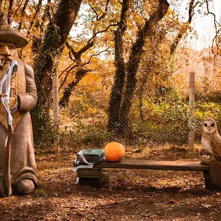 Bosque Maxico De Bonxe Kamp alanı Lugo