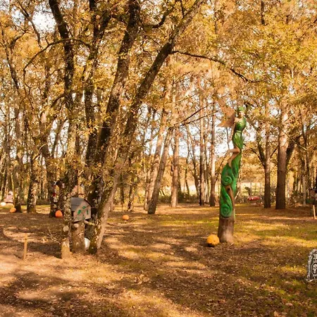 Bosque Maxico De Bonxe Kamp alanı *