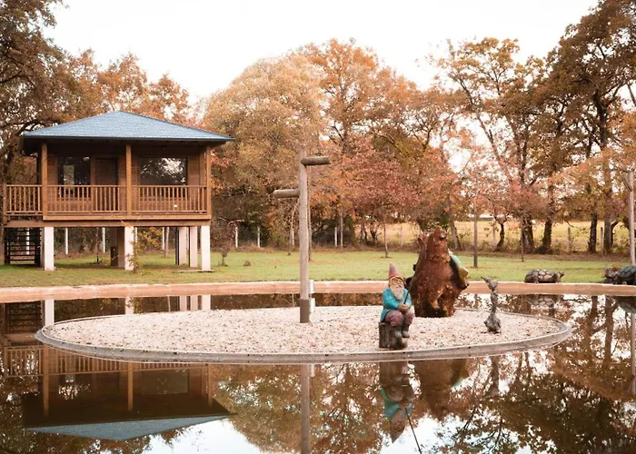 Bosque Maxico De Bonxe