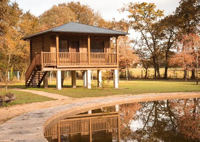 Bosque Maxico De Bonxe