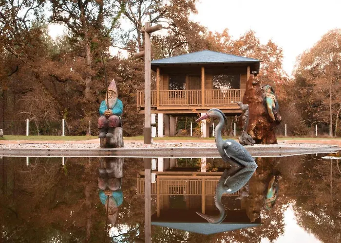 Bosque Maxico De Bonxe