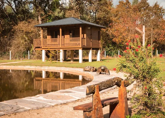 Bosque Maxico De Bonxe 캠프장