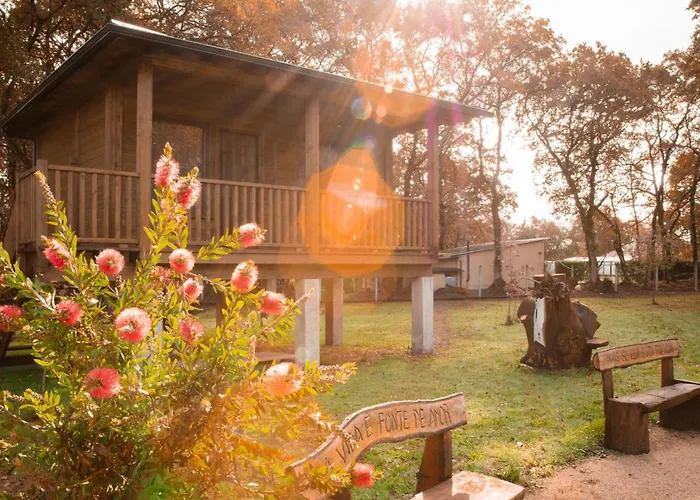 Bosque Maxico De Bonxe 루고