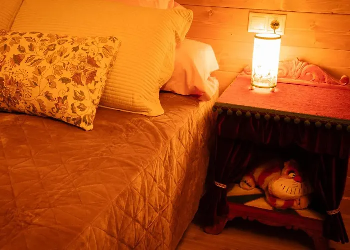 Bosque Maxico De Bonxe 루고