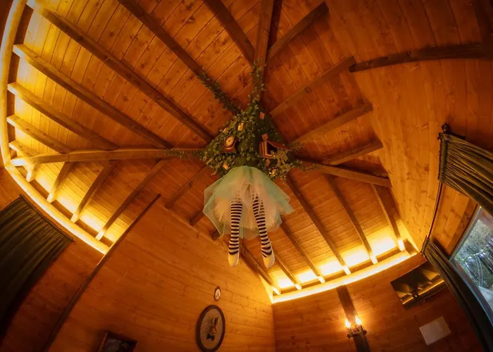 Bosque Maxico De Bonxe *