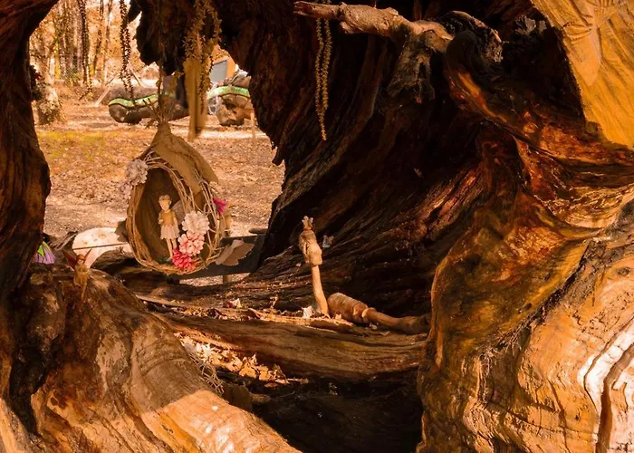 Bosque Maxico De Bonxe Kamp alanı