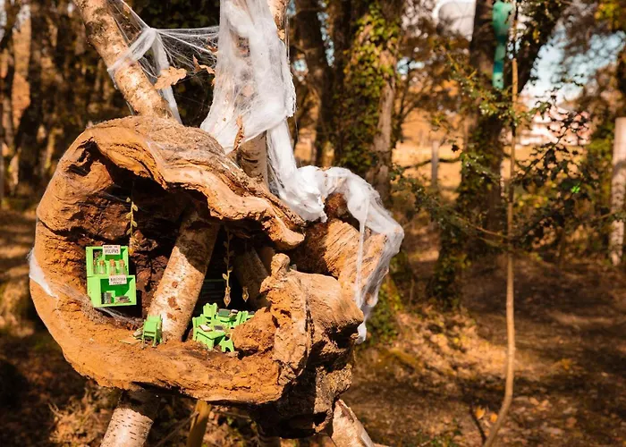 Kamp alanı Bosque Maxico De Bonxe