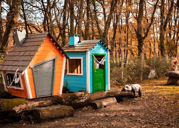 Bosque Maxico De Bonxe