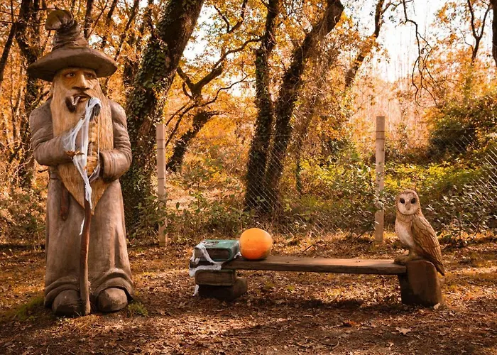 Bosque Maxico De Bonxe Kamp alanı Lugo