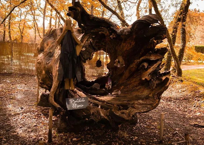 Kamp alanı Bosque Maxico De Bonxe *