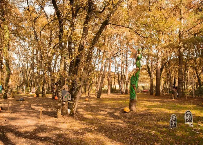 Bosque Maxico De Bonxe Kamp alanı *